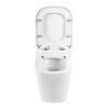 Унитаз приставной безободковый BelBagno ALBANO BB120CBR/BB120SC