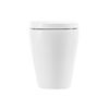Унитаз приставной безободковый BelBagno MARINO BB105CBR/BB105SC