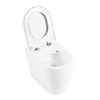 Унитаз приставной безободковый BelBagno MARINO BB105CBR/BB105SC