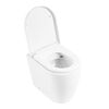 Унитаз приставной безободковый BelBagno MARINO BB105CBR/BB865SC