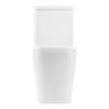 Унитаз-компакт безободковый BelBagno ALBANO BB120CPR/BB120SC