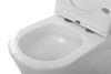 Унитаз-компакт безободковый со смывом TORNADO BelBagno FLAY-TOR BB2149CP-TOR/BB2149T/BB2111SC