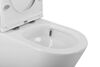 Унитаз-компакт безободковый со смывом TORNADO BelBagno FLAY-TOR BB2149CP-TOR/BB2149T/BB2111SC