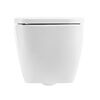 BelBagno ALPINA Унитаз подвесной безободковый с сиденьем дюропласт soft close, BB10100CHR/SC