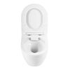 BelBagno LOTO Чаша унитаза подвесного c креплением и сиденьем дюропласт soft close BB070CHR/SC