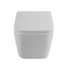 BelBagno DUE 2.0 Унитаз подвесной безободковый с сиденьем дюропласт soft close BB7107CHR/SC