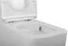 LUCE-TOR Унитаз подвесной безободковый с сиденьем дюропласт soft close, BB076CH-TOR/SC