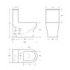 BelBagno NEON Унитаз-моноблок с сиденьем дюропласт soft close, P-trap BB8617CPR-MN/SC