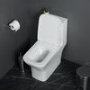 BelBagno NEON Унитаз-моноблок с сиденьем дюропласт soft close, P-trap BB8617CPR-MN/SC