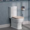 Чаша напольного унитаза Kerama Marazzi Pompei PO.wc.01 без бачка и сиденья