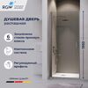 Душевая дверь RGW LE-003Gr 90x195 см, стекло Прозрачное, регулировка 885-910 мм