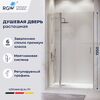 Душевая дверь RGW LE-004 110x195 см, стекло Прозрачное, регулировка 1085-1105 мм