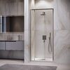 Душевая дверь RGW LE-102 70x195 см, стекло Прозрачное, регулировка 690-710 мм