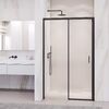 Душевая дверь RGW PA-017B 120x195 см, стекло Прозрачное, регулировка 1185-1215 мм