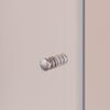 Душевая дверь RGW PA-02 90x185 см, стекло Прозрачное, регулировка 870-910 мм