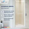 Душевая дверь RGW PA-103W 80x195 см, стекло Прозрачное, регулировка 780-805 мм