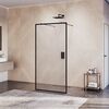 Душевая перегородка RGW WA-017B стекло Прозрачное, профиль Черный, 130х200см