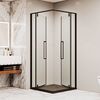 Стеклянный душевой уголок RGW Stilvol SV-33-B 80х80 профиль чёрный