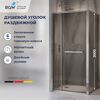 Душевой уголок с открытием двери вовнутрь RGW LE-45 77124529-31, стекло Тонированное , 120х90 см