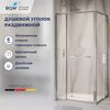 Душевой уголок с открытием двери вовнутрь RGW LE-45 77124509-11, стекло Прозрачное , 100х90 см