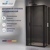 Душевой уголок с открытием двери вовнутрь RGW LE-45-B 77124520-34, стекло Тонированное , 120х100 см