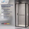 Душевой уголок с открытием двери вовнутрь RGW LE-45-B 77124520-14, стекло Прозрачное , 120х100 см