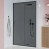 Душевая дверь Veconi Evo 100 GR, 1700x1950, графит брашинг,  стекло тонированное матовое, регулировка 167-171 см