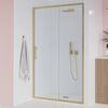 Душевая дверь Veconi Evo 100 G, 1100x1950, золото брашинг, стекло прозрачное, регулировка 17-111 см