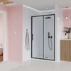 Душевая дверь Veconi Evo 100 B, 1300x1950, черный матовый, стекло прозрачное, регулировка 127-131 см