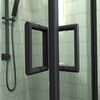 Душевой угол Veconi Rovigo RV-14, 1100x800x1950, черный, стекло прозрачное