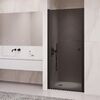 Душевая дверь RGW PA-03B 90x195 см, стекло Тонированное, регулировка 880-930 мм