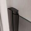 Душевая дверь RGW PA-03B 80x195 см, стекло Тонированное, регулировка 780-830 мм