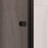 Душевая дверь RGW PA-03B 80x195 см, стекло Тонированное, регулировка 780-830 мм