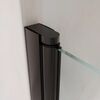 Душевая дверь RGW PA-03B 60x195 см, стекло Прозрачное, регулировка 580-630 мм