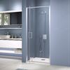 Душевая дверь RGW SV-05-2 100x200 см, стекло Прозрачное, регулировка 980-1020 мм