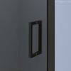 Душевая дверь RGW SV-05-2B 100x200 см, стекло Тонированное, регулировка 980-1020 мм