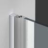 Душевая дверь Vincea Альфа (Alpha) VDP-3AL100CL 100x195 см, профиль хром. Размер регулировки 990-1010 мм
