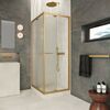 Душевой уголок Vegas-glass Z+ZPV Inside 60*90 03 10 стекло сатин, профиль золото матовое, 60х90 см