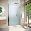 Душевая дверь Vegas Glass EP-F-2 NOVO h2000 115 11 10 L профиль оружейная сталь, стекло сатин. Размер регулировки 112-117 см