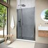 Душевая дверь Vegas Glass EP-F-2 NOVO h2000 185 11 07  R профиль оружейная сталь, стекло графит. Размер регулировки 182-187 см